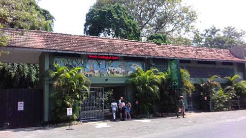 Colombo Zoo